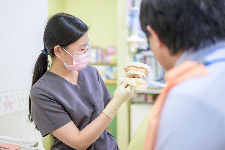 ブラッシング指導のイメージ画像